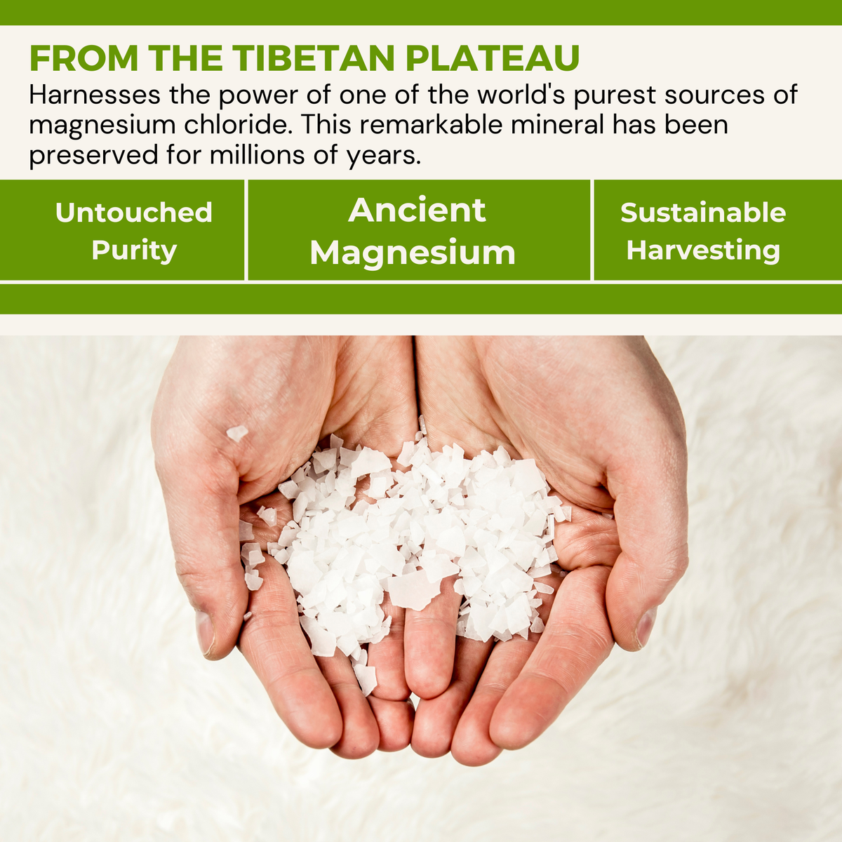Eucalyptus Zechstein Magnesium Bath Soak