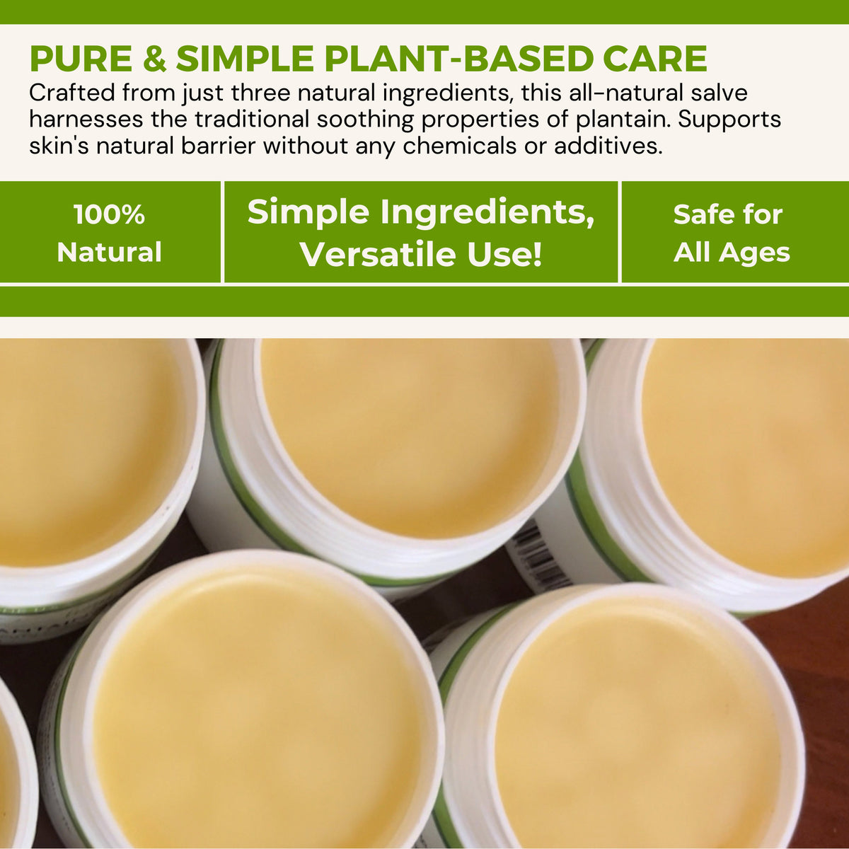 Plantain Skin Salve