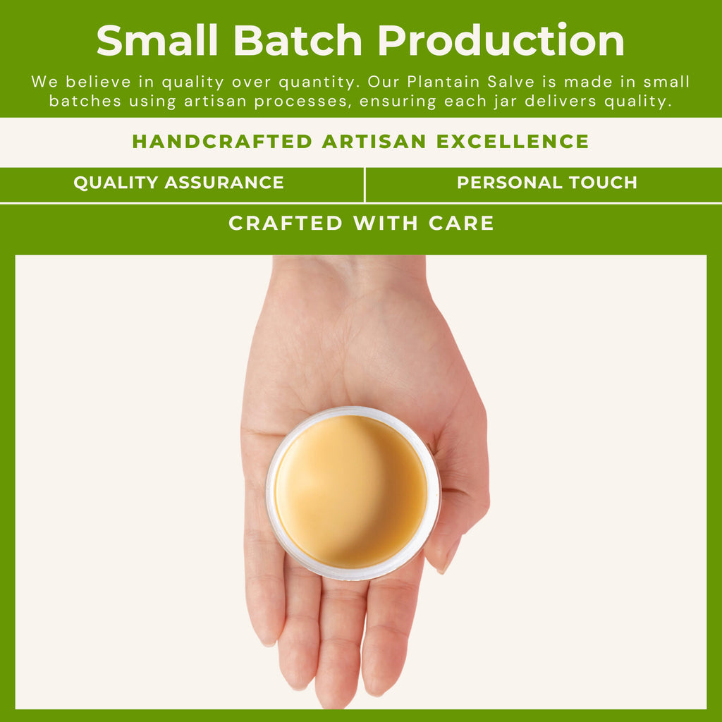 Plantain Skin Salve